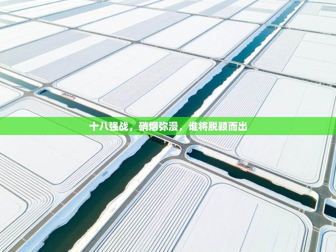 十八强战，硝烟弥漫，谁将脱颖而出